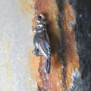 Blue Jay Charm Sterling Silver Raucous and Confident